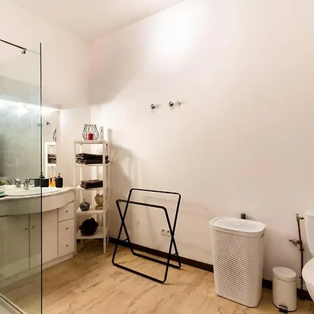 Apartment Nuit Romantique Avec Jacuzzi Privatif Proche Toulouse Auterive (Haute-Garonne)